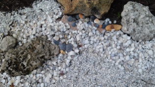 Shells and Rocks